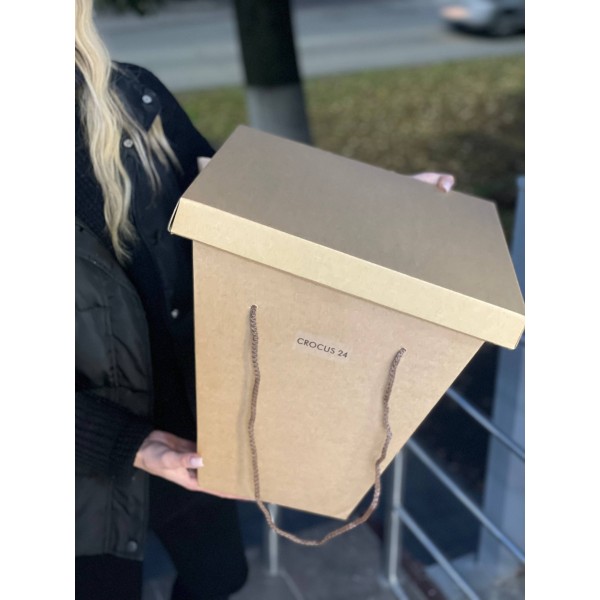 переноска для цветов с аквабоксом №1