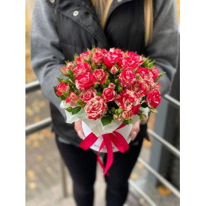 Композиция №23