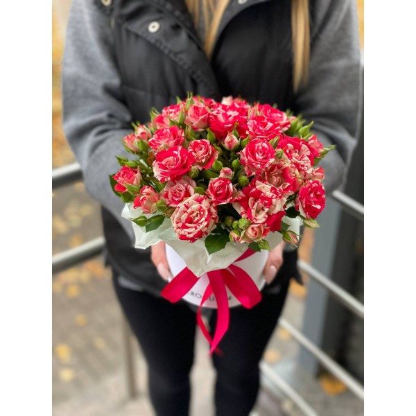 Композиция №23